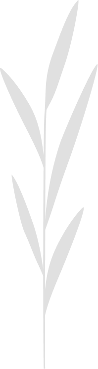 Decorative plant element